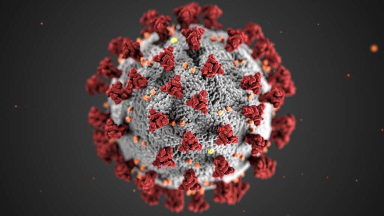 covid-19-coronavirus-covid-cell-pandemic-corona-virus-1608796-pxhere.com (1)